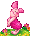 PATACHOK